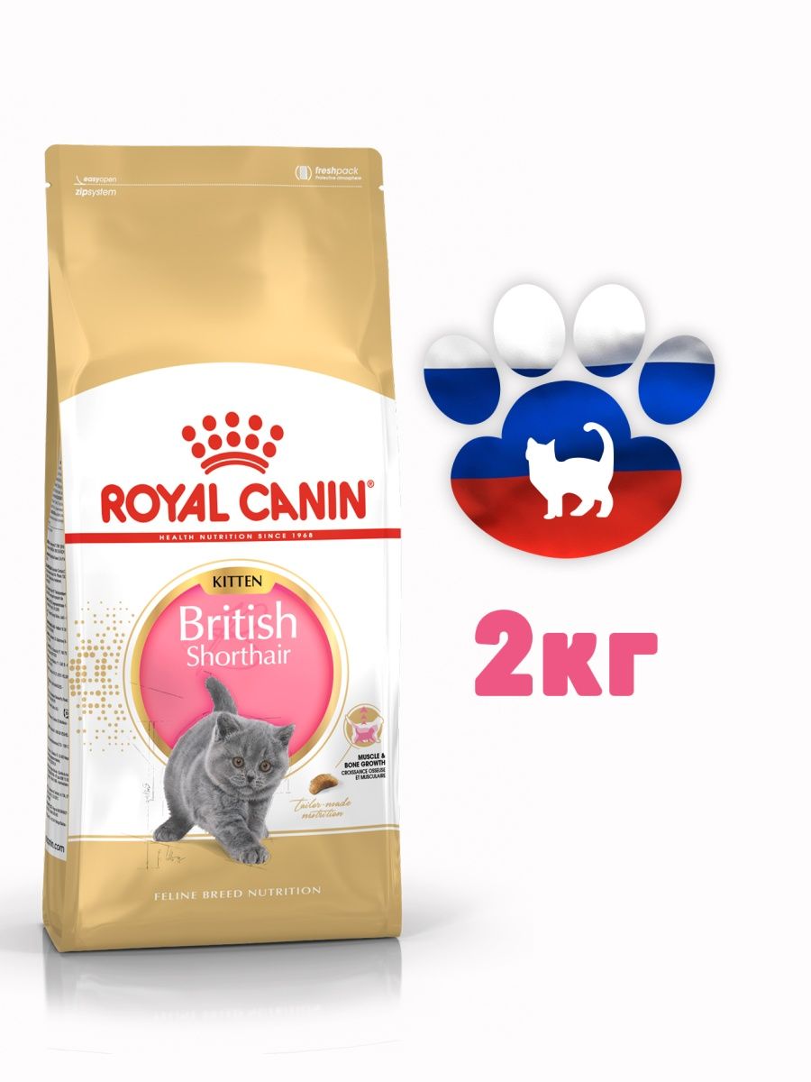 Royal canin british