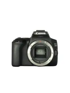 Canon 250D body