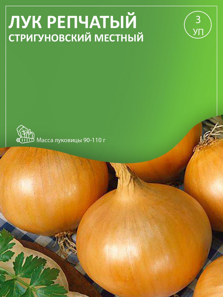 Лук Стригуновский. Лук репчатый Стригуновский местный. Лук репчатый Стригуновский местный 1г НК.