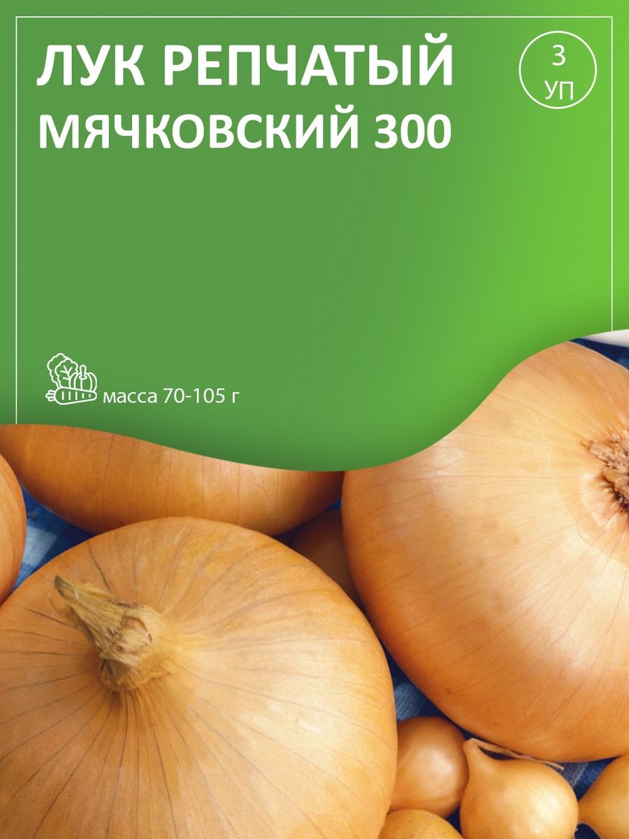 Лук севок мячковский описание отзывы. Лук Мячковский 300. Лук Мячковский описание. Лук Мячковский описание сорта отзывы. Лук Мячковский 300 описание сорта фото отзывы.