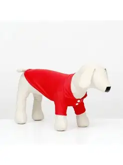 Футболка поло для животных, собак и кошек с пуговицами