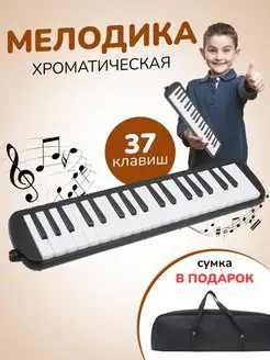 Мелодика 37 клавиш