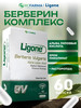 Берберин комплекс 500мг 60 капсул турецкие бады бренд LIgone продавец Продавец № 359001