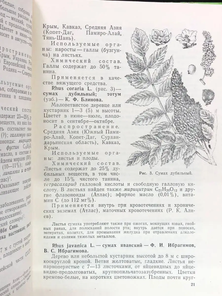 Кровоостанавливающие растения Медицина 167522841 купить за 340 ₽ в  интернет-магазине Wildberries