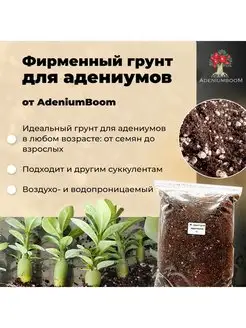 Фирменный грунт для адениума, суккулентов 2 л