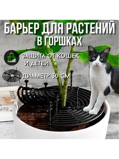 Защита цветов от кошек и животных