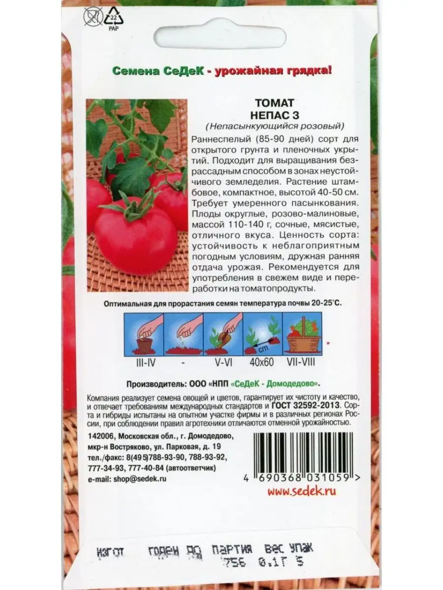 Непас 3. Непас цилиндрический. Помидоры Непас описание сорта фото отзывы. Помидоры Непас 11 стали бледно зеленой.