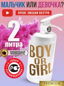 Огнетушитель для гендер пати цветной дым Boy or Girl