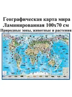 Карта Мир Природные зоны 100х70 см Ламинированная