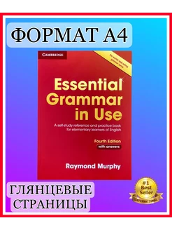 Essential Grammar in Use with Answers 5th edition учебник