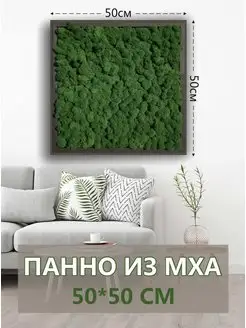 Панно из стабилизированного мха 50*50 см