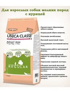 Classe Adult Mini Regular (курица), 2 кг