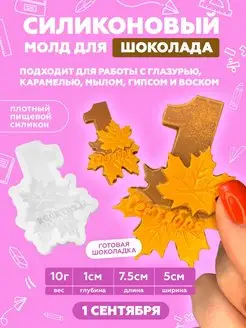 Силиконовый молд для шоколада 1 сентября