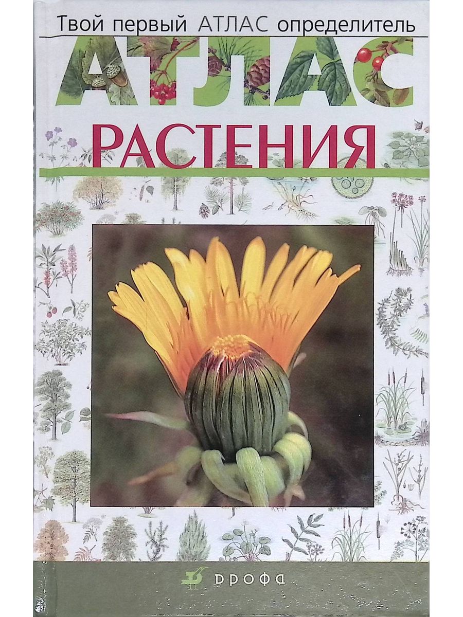 Твоя растение. Атлас определитель растений. Твой первый атлас определитель. Атлас растений для школьников. Атлас определитель трав России.