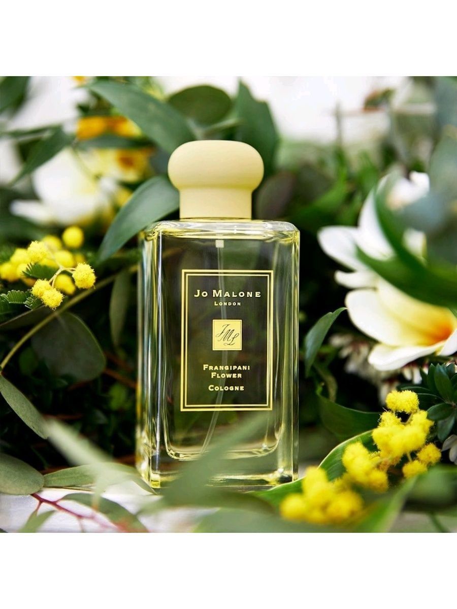 Парфюм джо. Парфюм Джо Малон Cologne. Jo Malone 100 ml. Джо Малон Франжипани. Джо Малон Frangipani Flower Cologne.