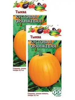 Тыква Кустовая оранжевая (1 г), 2 пакета