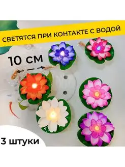 Кувшинка садовая декоративная в пруд для дачи 3 шт