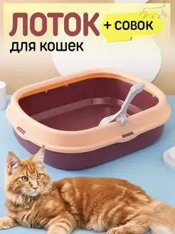 Лоток туалет для кошек средний с совком