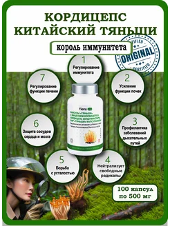 Кордицепс Тяньши, для почек, печени, сосудов