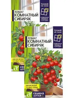 Томат Комнатный сибиряк (0,05 г), 2 пакета