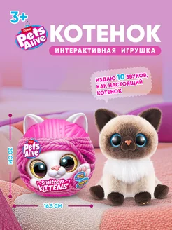 Интерактивная игрушка котенок Pets Alive Сюрприз