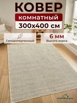 Ковер комнатный 300х400 см безворсовый палас