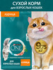 Сухой корм для кошек 9.75 кг бренд PURINA ONE продавец Продавец № 385270