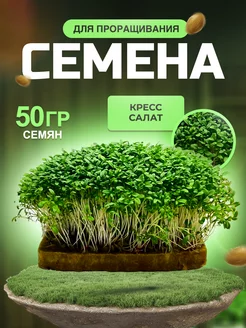 Кресс салат семена микрозелени 50гр