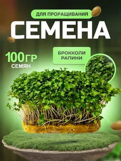 Семена микрозелени Брокколи Рапини 100гр(грамм)