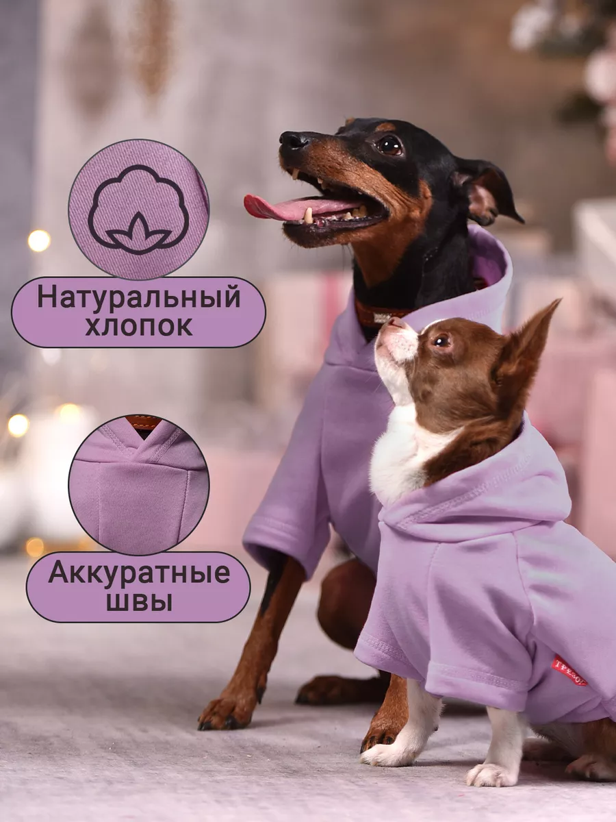 Одежда для джек рассела в интернет магазине, купить одежду для собак джек рассел терьера на заказ