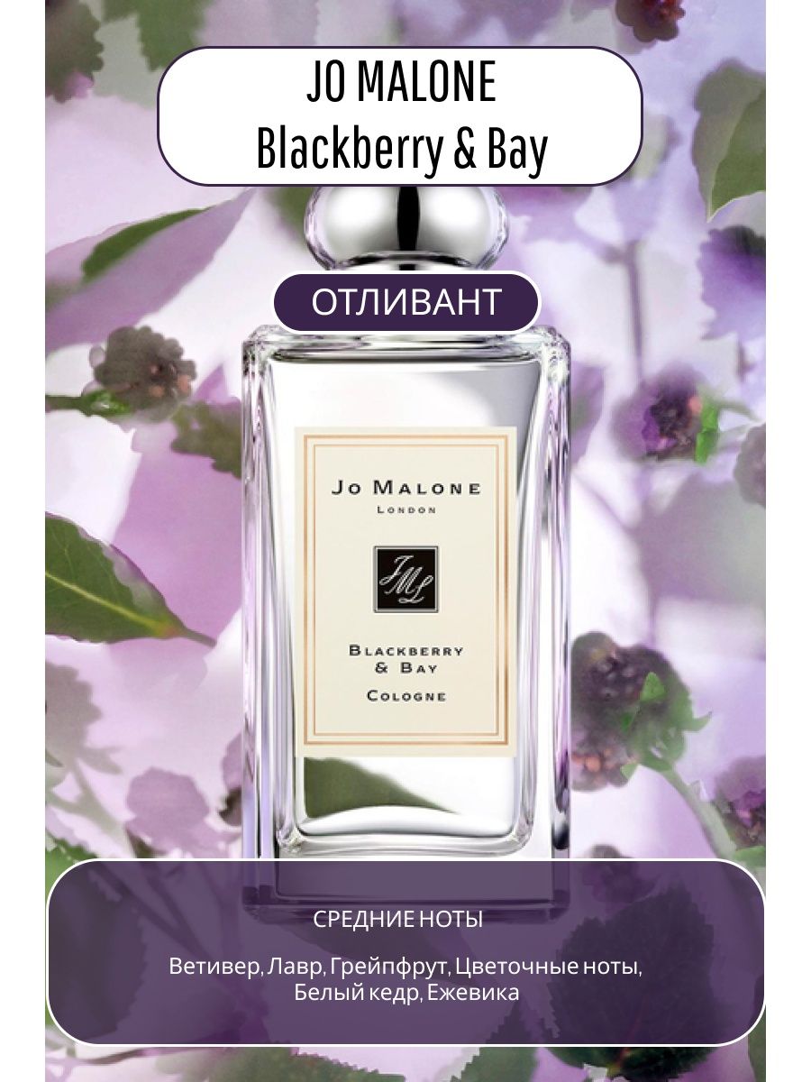 Jo Malone BLACKBERRY Bay Cologne. Джо Малон блэкберри Бэй. Духи ja Malone BLACKBERRY Bay 100мл. Джо Малон блэкбери духи.