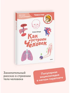 Как устроен человек. Энциклопедия "Чевостик". Paperback