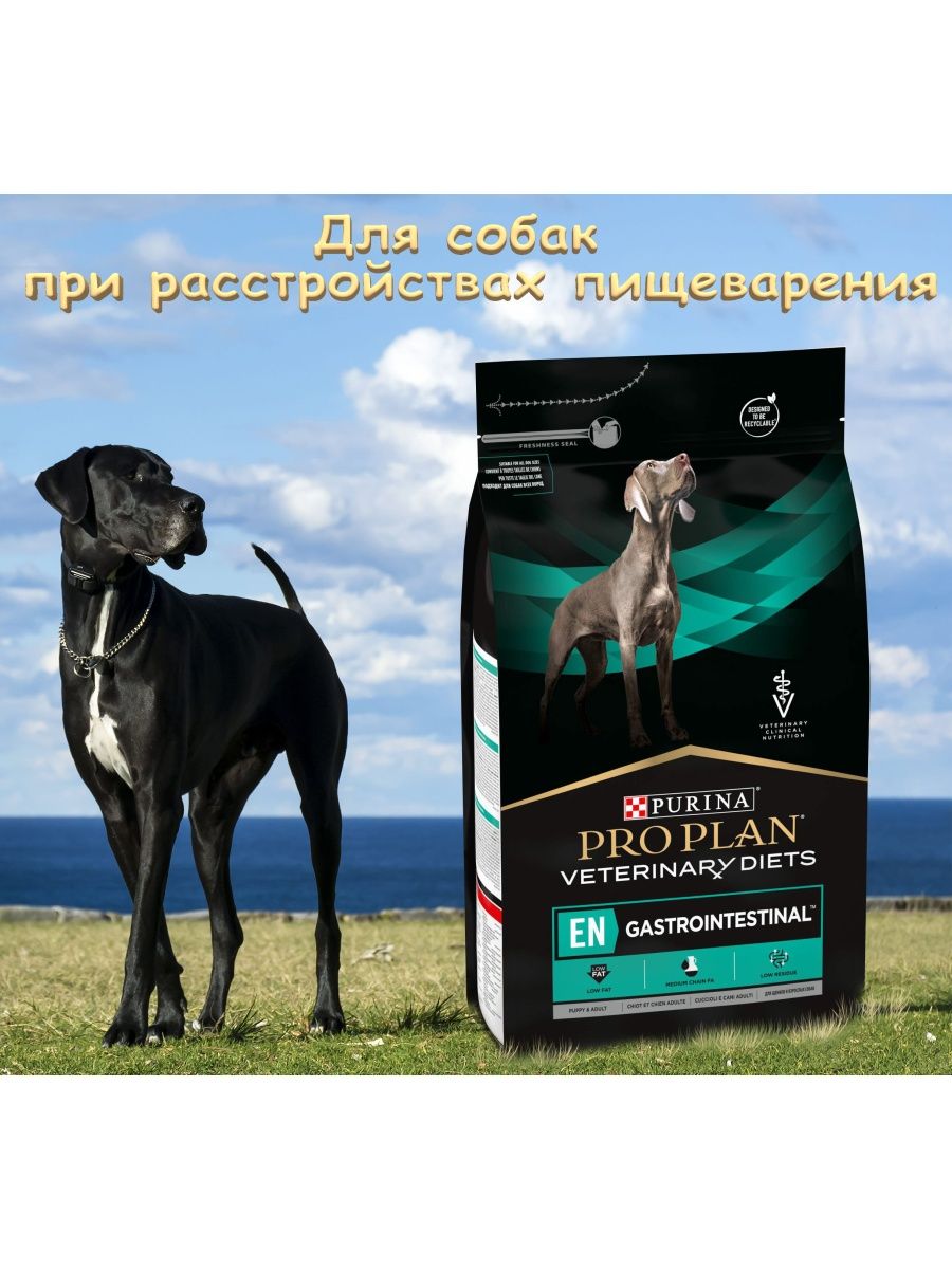 Pro Plan Veterinary Diets en Gastrointestinal для собак купить. Сухой корм pro plan gastrointestinal