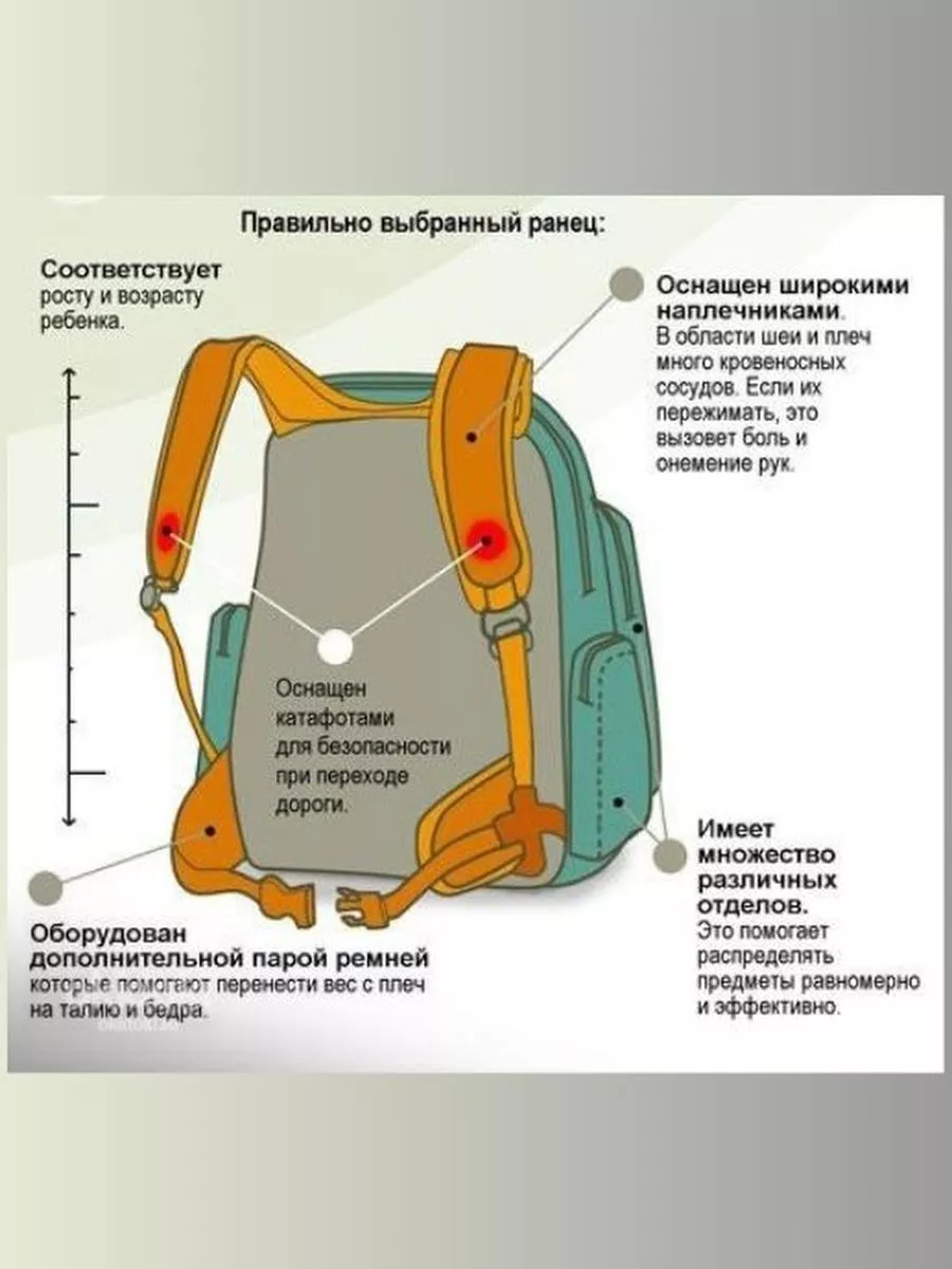 Как выбрать рюкзак для первоклассника