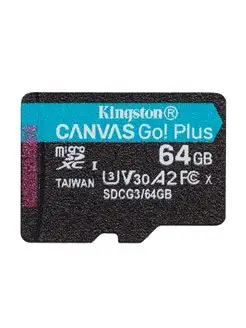 CANVAS GO! PLUS microSDXC 64GB