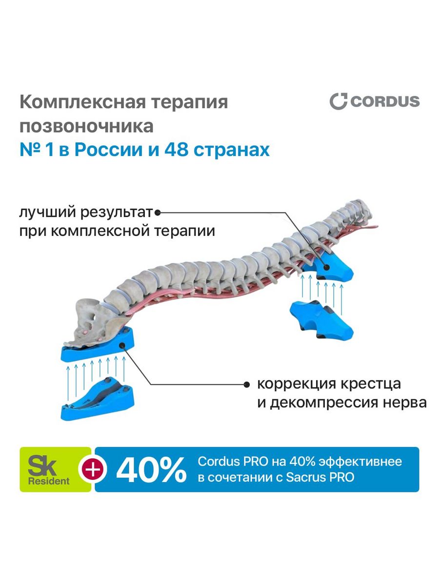 Кордус сакрус отзывы