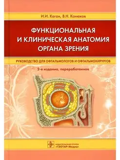 Функциональная и клиническая анатомия органа зрения рук