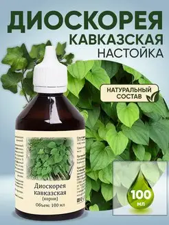 Диоскорея кавзазская настойка