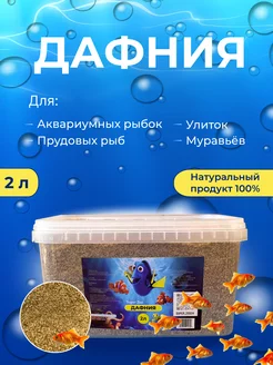 Дафния корм для аквариумных рыбок 2л