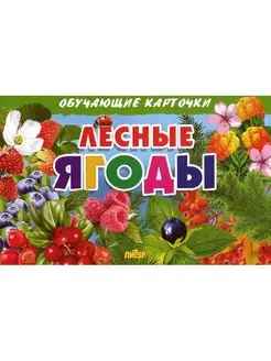 ОБУЧАЮЩИЕ КАРТОЧКИ. Лесные ягоды