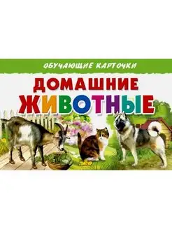 ОБУЧАЮЩИЕ КАРТОЧКИ. Домашние животные