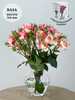 Ваза для цветов стеклянная прозрачная Botanica бренд Pasabahce продавец Продавец № 1219322