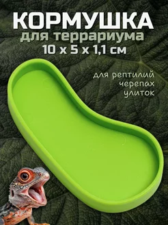 Кормушка для рептилий, черепах, улиток