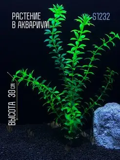 Растение для аквариума искусственное 30 см (S1232)