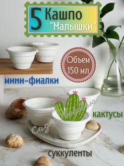 Кашпо для кактусов и фиалок маленькое