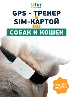 GPS трекер для собак и кошек с ошейником