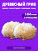 Белый древесный гриб (инъер, коралловый, серебряные ушки) бренд Азиатская еда продавец Продавец № 318554