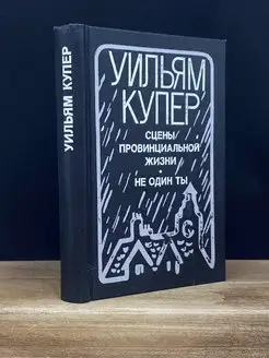 Сцены провинциальной жизни. Не один ты