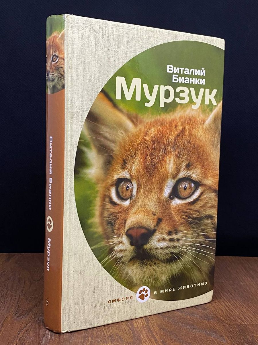 Мурзук. Книга Мурзук. Мурзук рисунок.