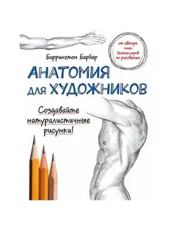 Анатомия для художников